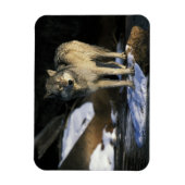 北アメリカ、アメリカ、ミネソタ。ウルフ（カニス） マグネット (縦)