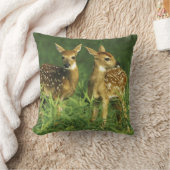 北アメリカ、アメリカ、ミネソタ。ホワイトテール2 クッション (ブランケット)