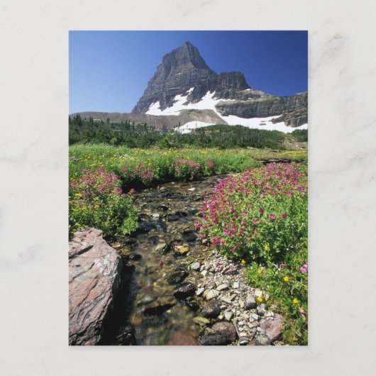 北アメリカ，アメリカ，モンタナ，氷河ナショナル3 ポストカード (正面)
