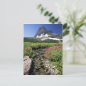 北アメリカ，アメリカ，モンタナ，氷河ナショナル3 ポストカード (スタンド正面)