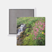 北アメリカ，アメリカ，モンタナ，氷河ナショナル4 マグネット (正面/裏面)