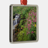 北アメリカ，アメリカ，モンタナ，氷河ナショナル4 メタルオーナメント (右)