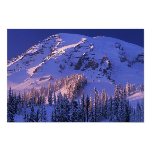 北アメリカ,アメリカ,ワシントン,レイニア山5 フォトプリント (正面)
