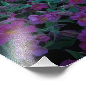 北アメリカ，アメリカ，ワシントン，レイニア山6 フォトプリント            (角)