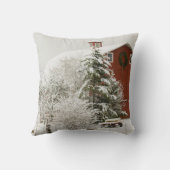 北アメリカ、アメリカ、ワ、ウィドビー島。 クッション (裏面)