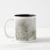 北アメリカ、アメリカ、ワ、ウィドビー島。 ツートーンマグカップ (左)