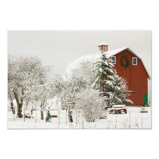 北アメリカ、アメリカ、ワ、ウィドビー島。 フォトプリント (正面)