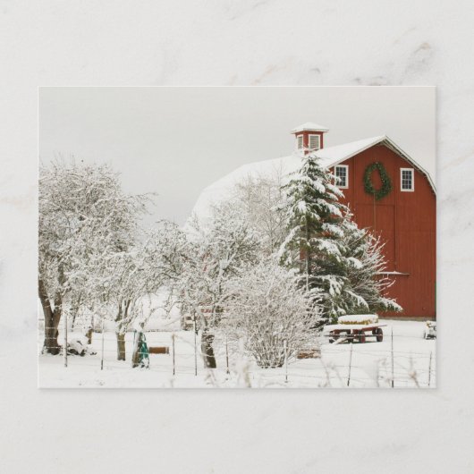 北アメリカ、アメリカ、ワ、ウィドビー島。 ポストカード (正面)