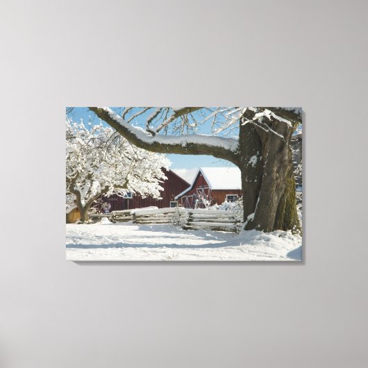 北アメリカ、アメリカ、ワ、ウィドビー島。2 キャンバスプリント (正面)