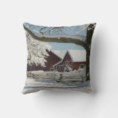 北アメリカ、アメリカ、ワ、ウィドビー島。2 クッション (裏面)