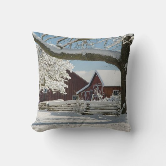 北アメリカ、アメリカ、ワ、ウィドビー島。2 クッション (正面)