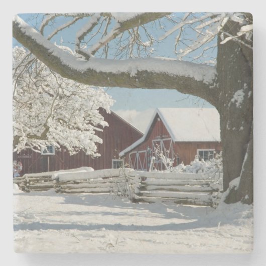 北アメリカ、アメリカ、ワ、ウィドビー島。2 ストーンコースター (正面)