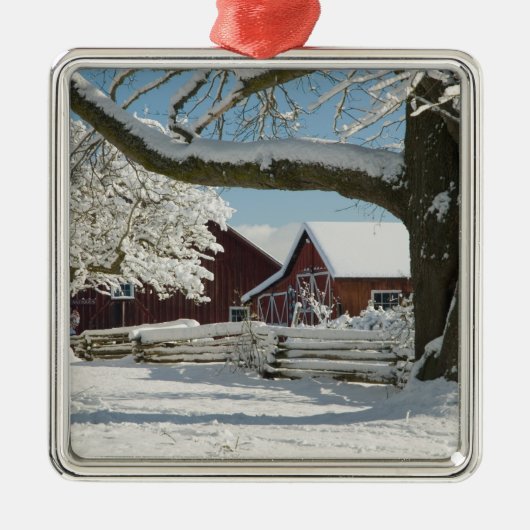 北アメリカ、アメリカ、ワ、ウィドビー島。2 メタルオーナメント (正面)