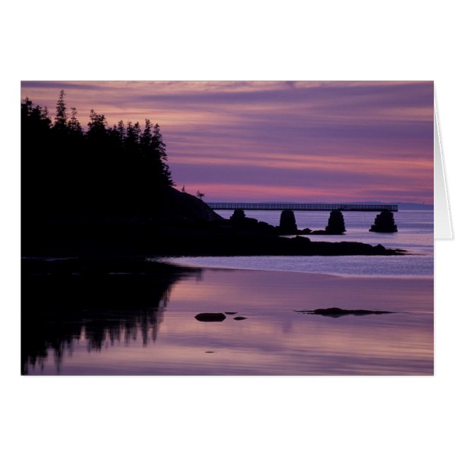 北アメリカ、アメリカ、私、アイル·オー·オーダック (正面横)