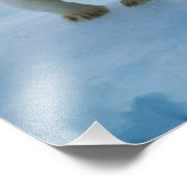 北アメリカ、カナダ北極圏。シロクマ フォトプリント            (角)