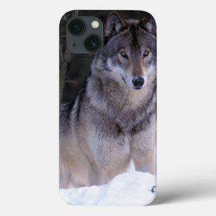 北アメリカ、カナダ、東のカナダのオオカミ iPhone 13ケース
