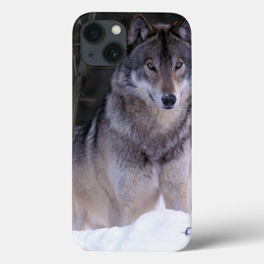 北アメリカ、カナダ、東のカナダのオオカミ Case-Mate iPhoneケース (裏面)