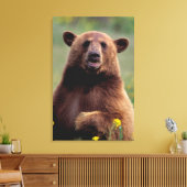 北アメリカ、カリフォルニア、シナモンブラックベア キャンバスプリント (インサイチュ (リビング))