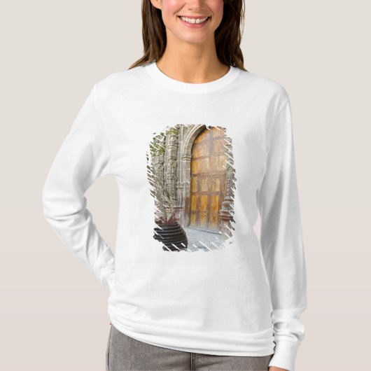 北アメリカ，メキシコ，グアナファト州，サン3 Tシャツ (正面)