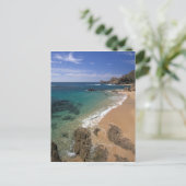 北アメリカ、メキシコ、バハ・カリフォルニアシュル ポストカード (スタンド正面)