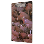 北アメリカ、米国、アラスカ、ユーコン準州のデルタの国民 クリップボード (左)