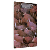 北アメリカ、米国、アラスカ、ユーコン準州のデルタの国民 クリップボード (右)