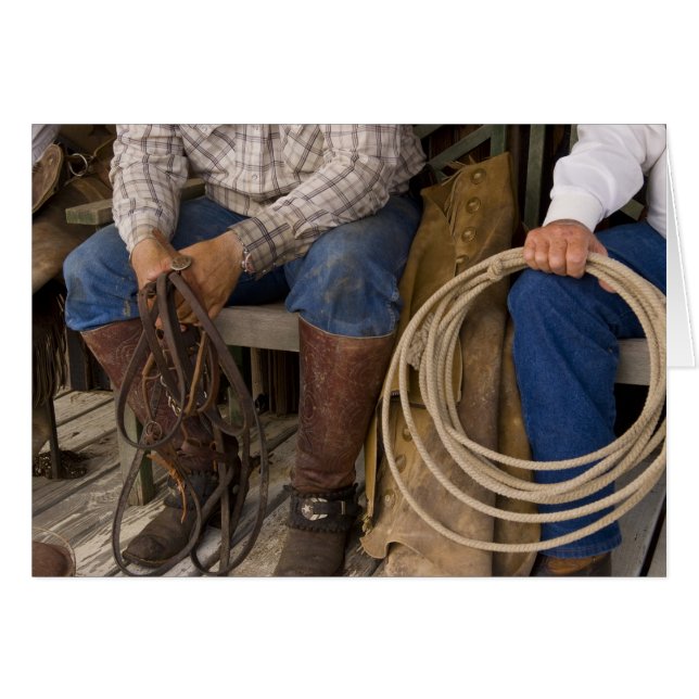 北アメリカ、米国。 カウボーイのリラックスおよび2 (正面横)