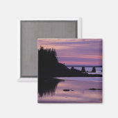 北アメリカ、米国、私、アウ島。アヒル マグネット (正面/裏面)