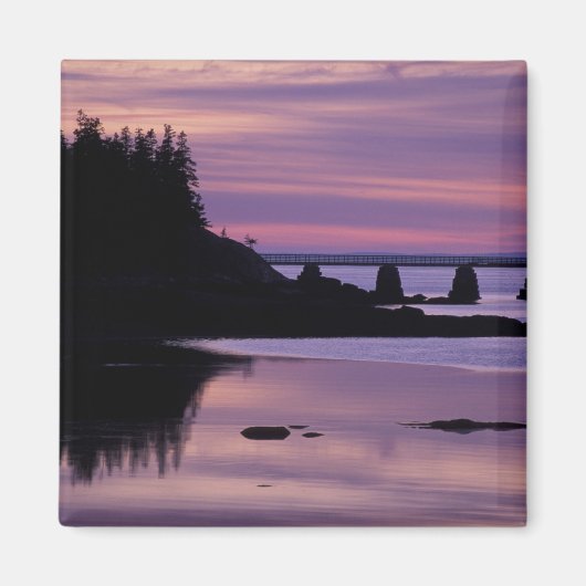 北アメリカ、米国、私、アウ島。アヒル マグネット (正面)