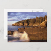 北アメリカ、米国、私、ロッキーのメイン海岸。 ポストカード (正面/裏面)