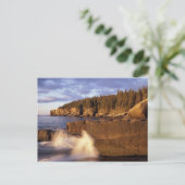 北アメリカ、米国、私、ロッキーのメイン海岸。 ポストカード (スタンド正面)