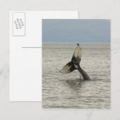 北アメリカ、米国、AKの中の道。 Humpback ポストカード (正面/裏面)