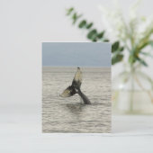 北アメリカ、米国、AKの中の道。 Humpback ポストカード (スタンド正面)