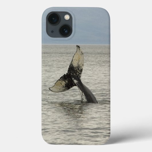 北アメリカ、米国、AKの中の道。 Humpback Case-Mate iPhoneケース (裏面)