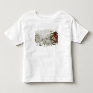 北アメリカ、米国、WAのWhidbeyの島 トドラーTシャツ