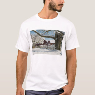 北アメリカ、米国、WAのWhidbeyの島。 2 Tシャツ