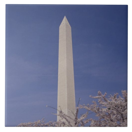 北アメリカ、米国、Washington D.C。 ワシントン州 タイル (正面)