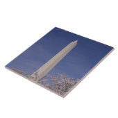 北アメリカ、米国、Washington D.C。 ワシントン州 タイル (側面)