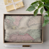 北アメリカ 薄葉紙 (ギフト)