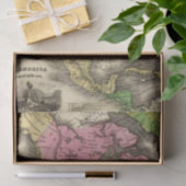 北アメリカ 薄葉紙 (ギフト)