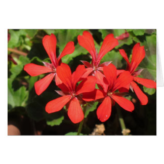 北イタリアの走行