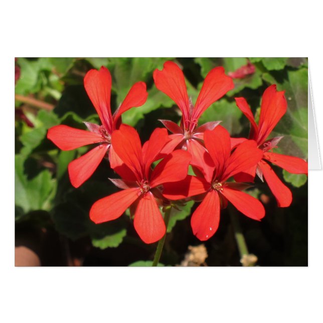 北イタリアの走行 (正面横)