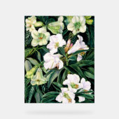 北インドのシャクナゲ アクリルサイン (正面)