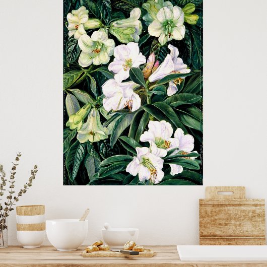 北インドのシャクナゲ ポスター (キッチン)