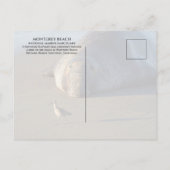 北エレファントシールは鳥モントレーベイを見る ポストカード (裏面)