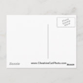 北エレファントシールカリフォルニア製品 ポストカード (裏面)