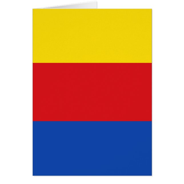 北オランダ国旗 (正面)