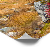 北カスケード秋の色 ポスター (角)