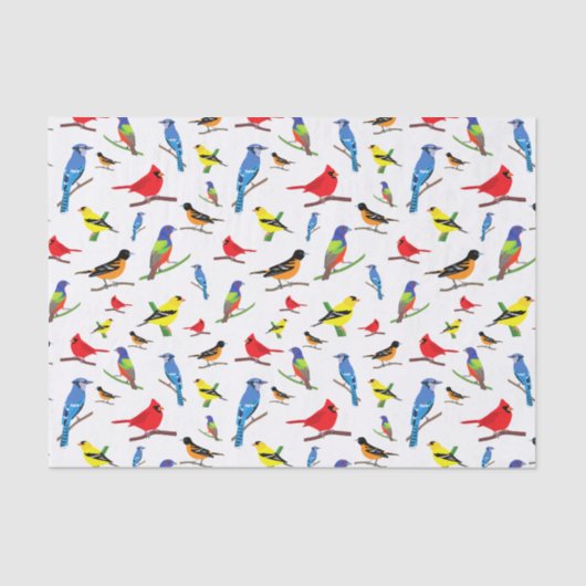 北カラフル米鳥柄ナプキン 薄葉紙 (正面)