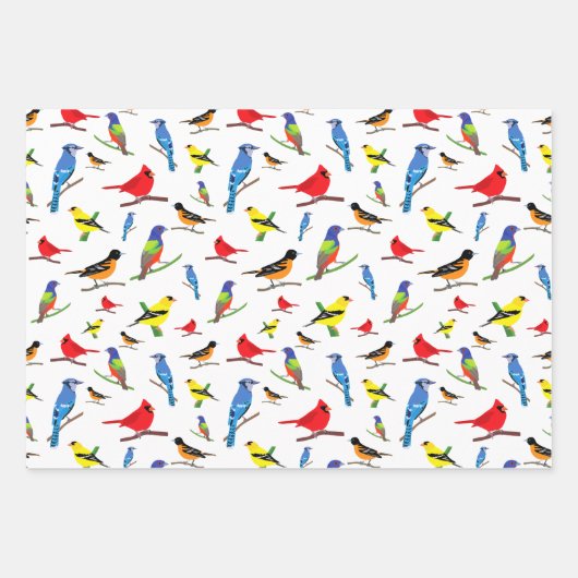 北カラフル米鳥模様 ラッピングペーパーシート (正面)